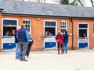 EL260424-142 - Emma Lavelle Stable Visit